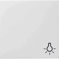 Gira System 55 einteilige Wippe, Schalter/Taster, reinweiß, glänzend, Symbol Licht, 028503