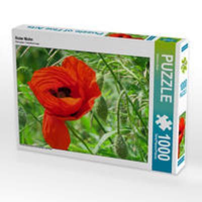 CALVENDO Puzzle Roter Mohn | 1000 Teile Lege-Größe 64x48cm Foto-Puzzle für glückliche Stunden