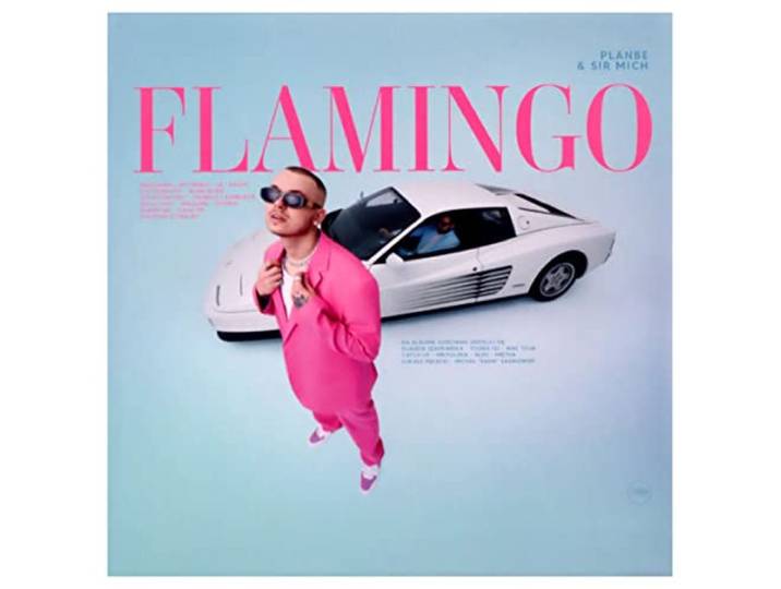 Flamingo