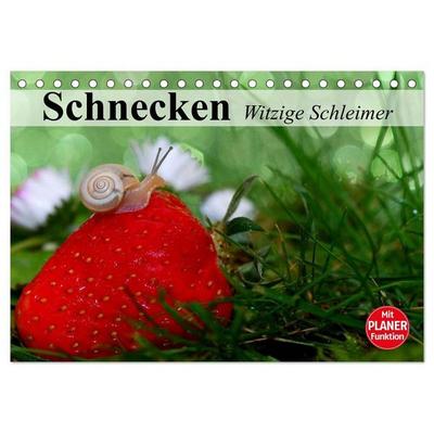 Schnecken. Witzige Schleimer (Tischkalender 2027 DIN A5 quer), CALVENDO Monatskalender
