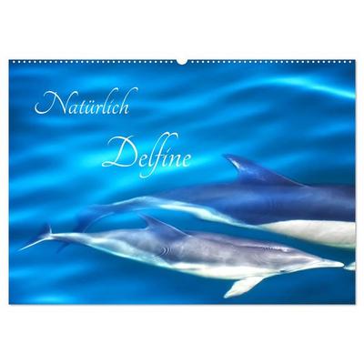 Natürlich Delfine (Wandkalender 2026 DIN A2 quer), CALVENDO Monatskalender