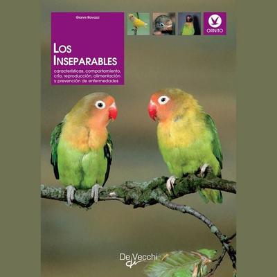 Los inseparables - Gianni Ravazzi, Audio, 9798894057873