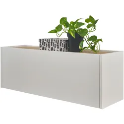 HÄNGEELEMENT weiß matt, Eiche Wotan 100 cm, Hängeschrank für Homeoffice und Büro