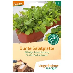Würzige Salatmischung für den Balkon - Bunte Salatplatte