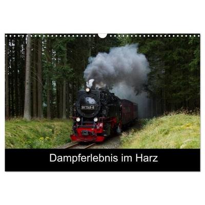 Dampferlebnis im Harz (Wandkalender 2027 DIN A3 quer), CALVENDO Monatskalender