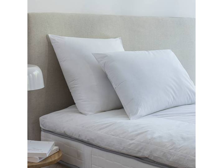 Oreiller antiacarien Dodo® Proneem® moelleux - Blancheporte