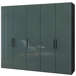 Jutzler Kleiderschrank Longline 253 x 220 cm Glas Grün Dunkelgrün 250