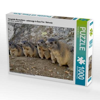 CALVENDO Puzzle Verspielte Murmeltiere - unterwegs in Saas Fee / Schweiz | 1000 Teile Lege-Größe 64x48cm Foto-Puzzle für glückliche Stunden