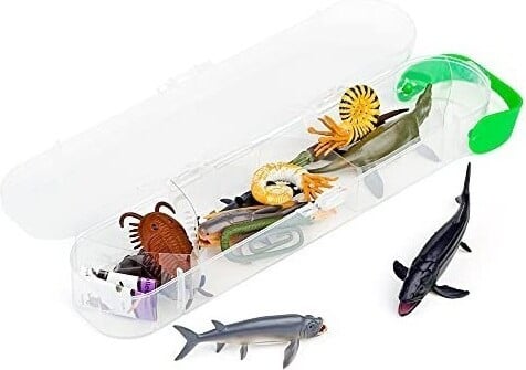 Collecta Doos met 12 miniatuurfiguurtjes van prehistorische zeedieren
