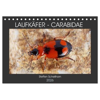 LAUFKÄFER - CARABIDAE (Tischkalender 2026 DIN A5 quer), CALVENDO Monatskalender