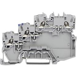 WAGO 2000-5310/102-000 Aktorenklemme 7 mm Zugfeder Grau 50 St. Package