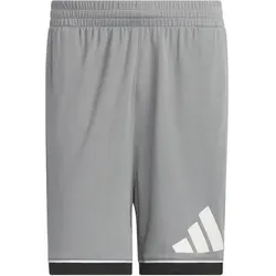 ADIDAS Herren Shorts Basketball Badge of Sport (Länge 11 Zoll), Größe XS in Grau Grau