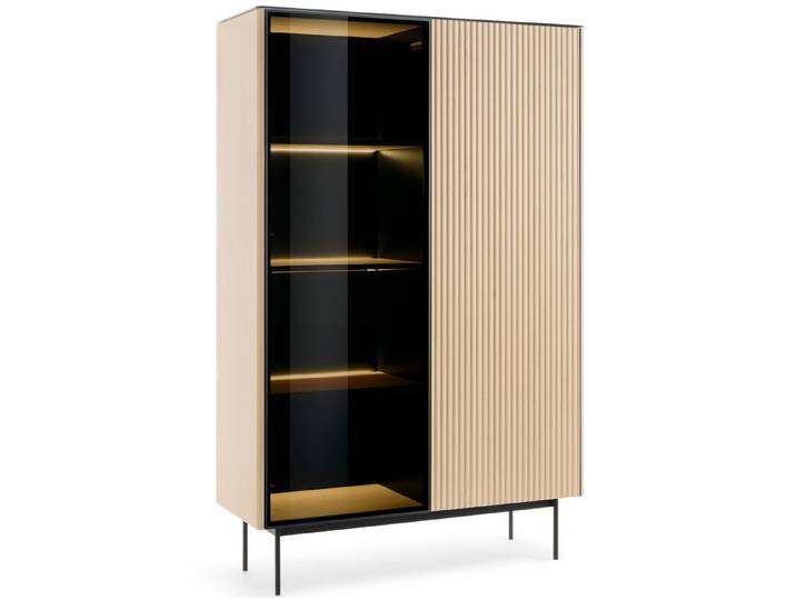 yourhouse24 Vitrine ORTA WTSZ-107 mit LED-Beleuchtung