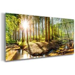 GLASBILD 120x60 cm Landschaftspanorama