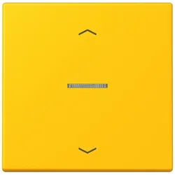 Jung Wippe mit Lichtleiter LC 101 KO5P 263