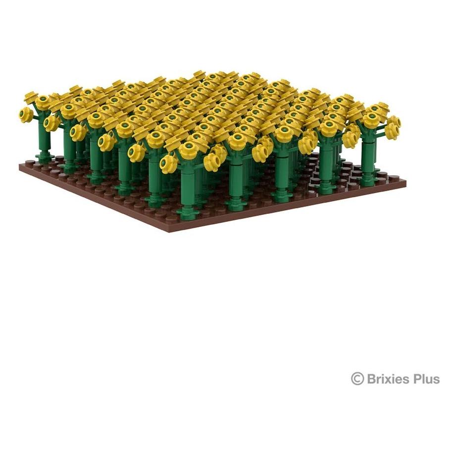 Brixies Plus Rapsfeld in der Blüte (222230)