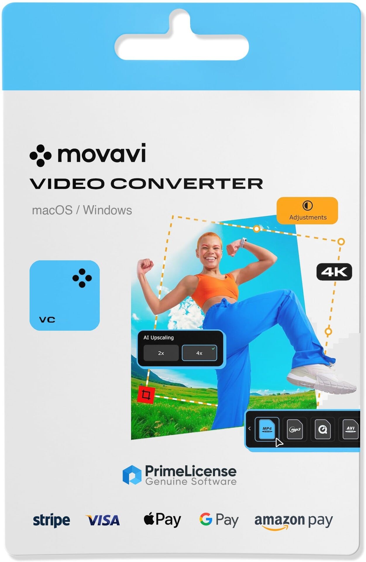 Movavi Video Converter