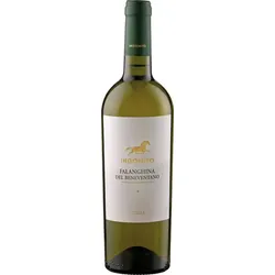 Falanghina Indomito 2025 - 6Fl. á 0.75l
