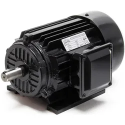 Wiltec, Elektromotor, Elektromotor