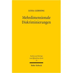 Mehrdimensionale Diskriminierungen, Fachbücher von Luisa Lehning