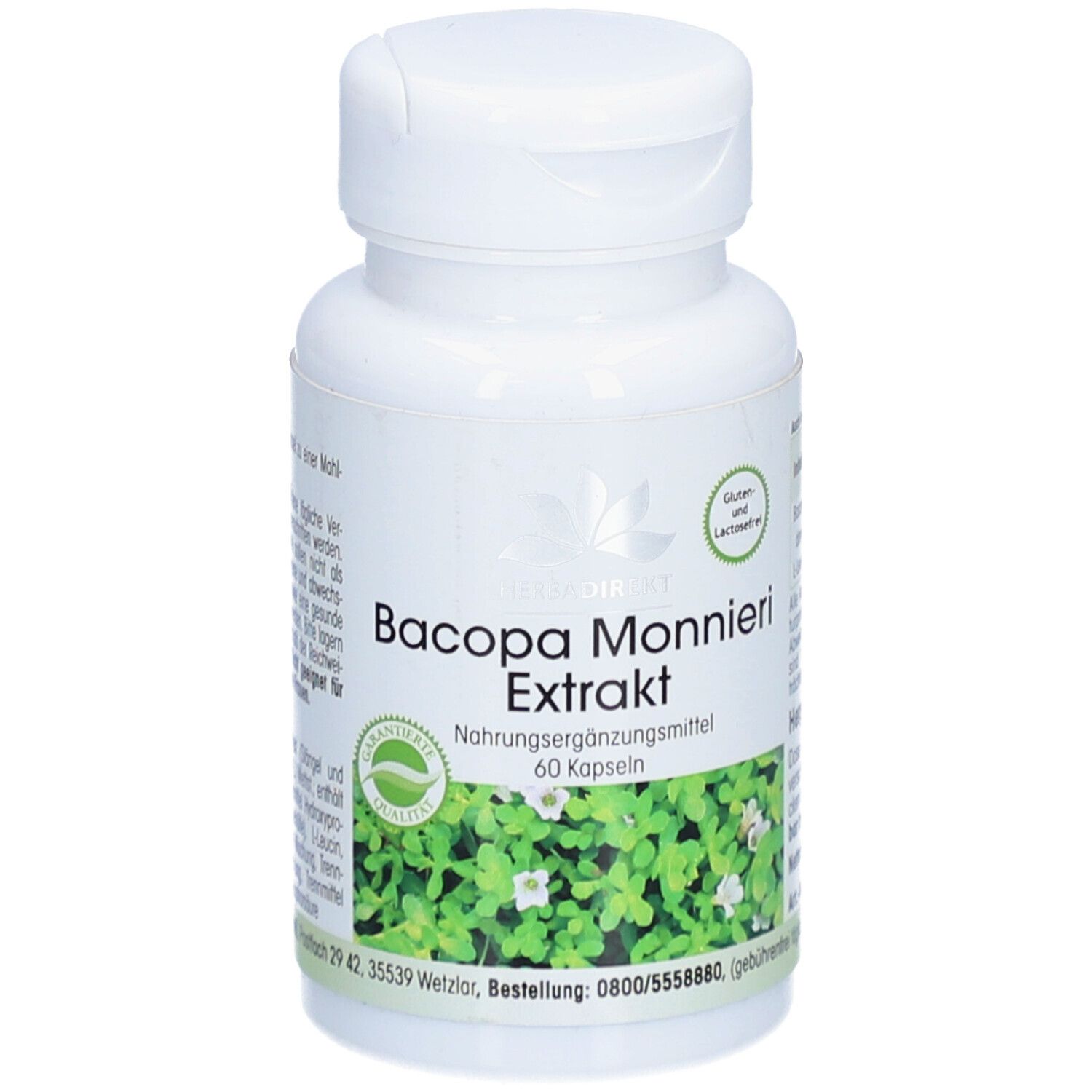 Bacopa Monnieri Extrakt Kapseln 60 St