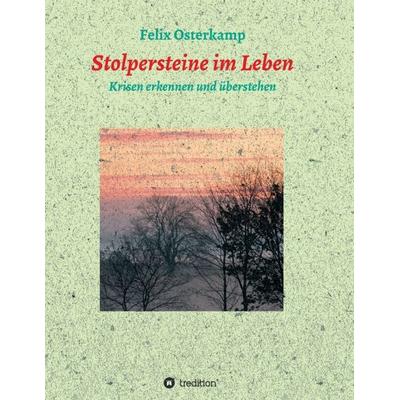 Stolpersteine im Leben - Krisen erkennen und überstehen, Taschenbuch von Felix-Daniel Osterkamp, Tredition, 978-3-347-13247-4