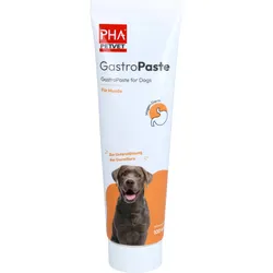 Pha Gastropaste für Hunde 100 ML