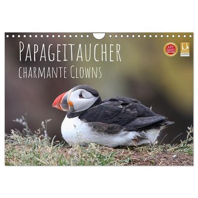 Papageitaucher - charmante Clowns (Wandkalender 2027 DIN A4 quer), CALVENDO Monatskalender