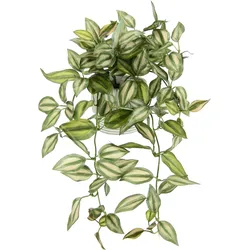 Kunstpflanze I.GE.A. "Tradescantiahänger", bunt (grün,rot), B:26cm H:42cm L:22cm, Kunstpflanzen, Kunstpflanze, Mit Übertopf Kunstpflanze Hängepflanze Pflanzenampel Kletterpflanze
