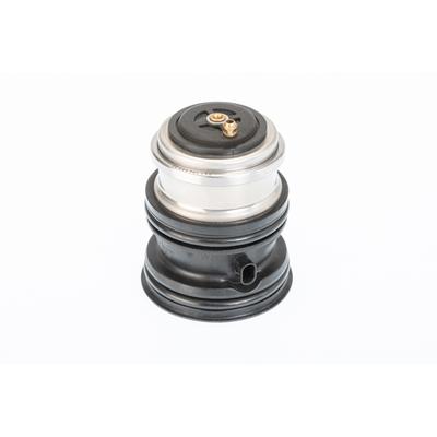 BORGWARNER Thermostat, Kühlmittel 410448.107D für Porsche