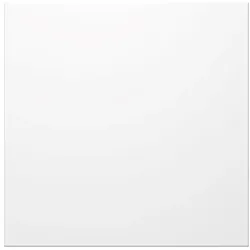 Ritto Portier Blindmodul ws 1876670