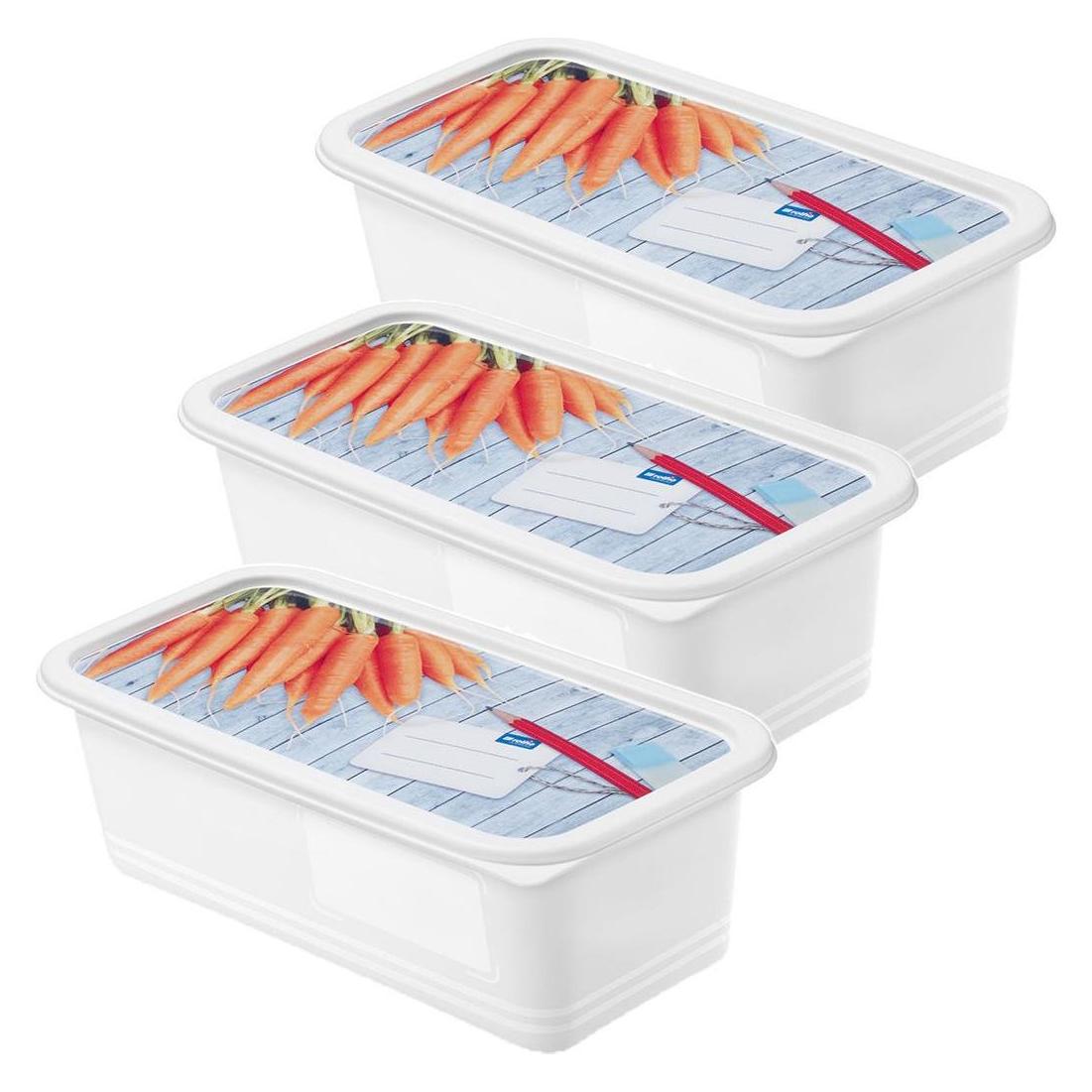 Rotho Domino (1.20 l) (046227)