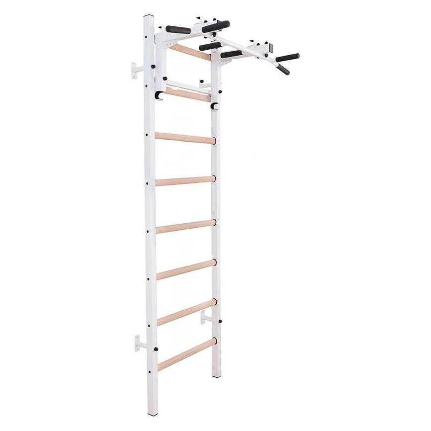 BenchK Sprossenwand 231W (5903317830917)