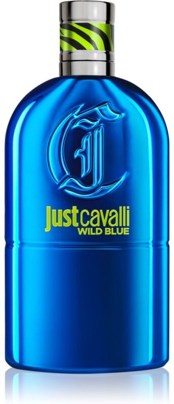 Roberto Cavalli Just Cavalli Wild Blue EDT M 90 ml