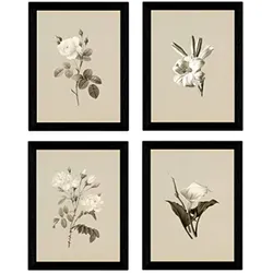 POSTER Set mit 4 Botanische Jahrgang Hintergrund helle Blumen A4 Rahmenlos
