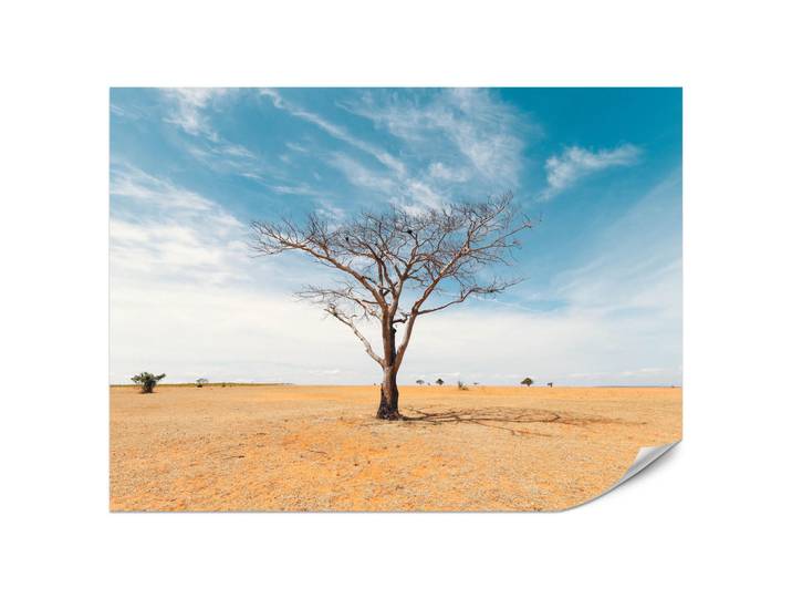 Muralo Fototapete für Wohnzimmer Trockener Baum Wüste Sand 250x175, Orange, Braun, Weiß, Beige, Papier, Baum/Pflanze/Natur, Rechteckig, 250x175 cm, Tapeten & Wandverkleidungen, Fototapeten