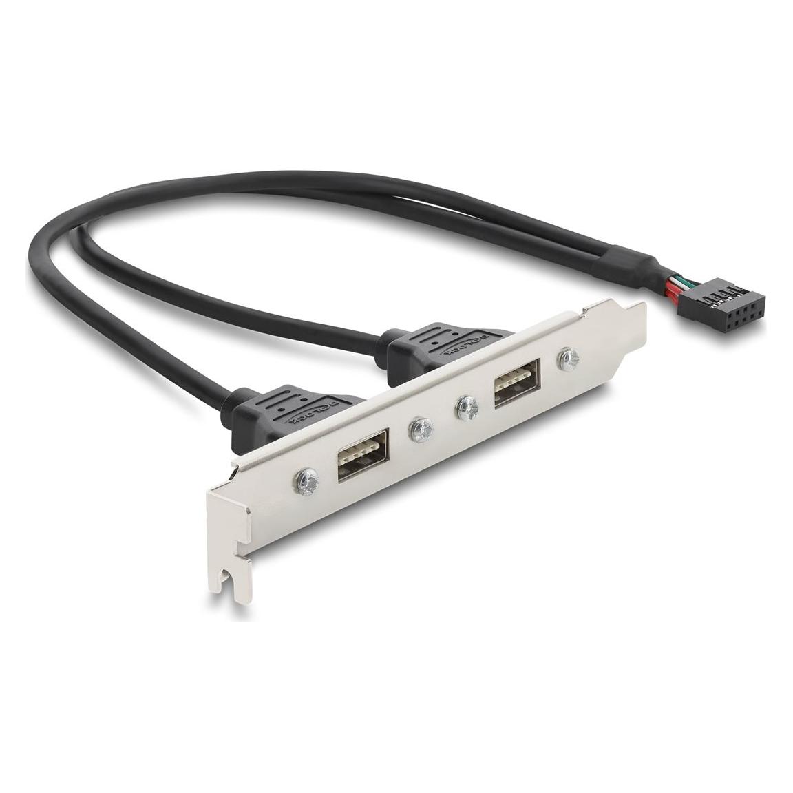 Delock USB 2.0 Slotblech mit 2 x EASY USB Typ-A Port (91800)