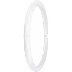 Osram, Leuchtmittel, Led Tube T9 Em (G10q, 2900 lm, 1x)
