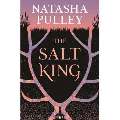 The Salt King, Gebundene Ausgabe von Natasha Pulley, Bloomsbury Academic, 978-1-63973-729-1