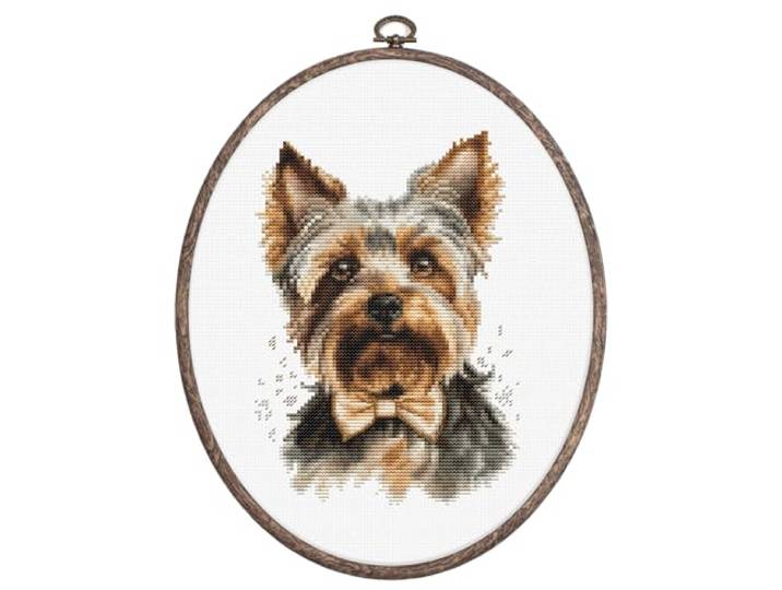 Luca-S Kruissteekkit met hoepel inbegrepen de Yorkshire Terrier, BC228, getelde kruissteekkit voor volwassenen, handwerk en borduurpakket