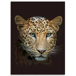 Kinzler Flanell Wohndecke Leopard