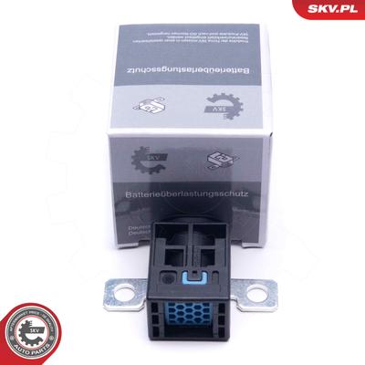 ESEN SKV Überspannungsschutzgerät, Generator 96SKV320 für Mercedes Tesla