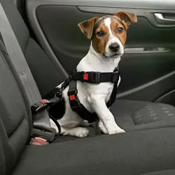 Karlie - Auto Sicherheitsgeschirr für Hunde - XL (60-100 cm)