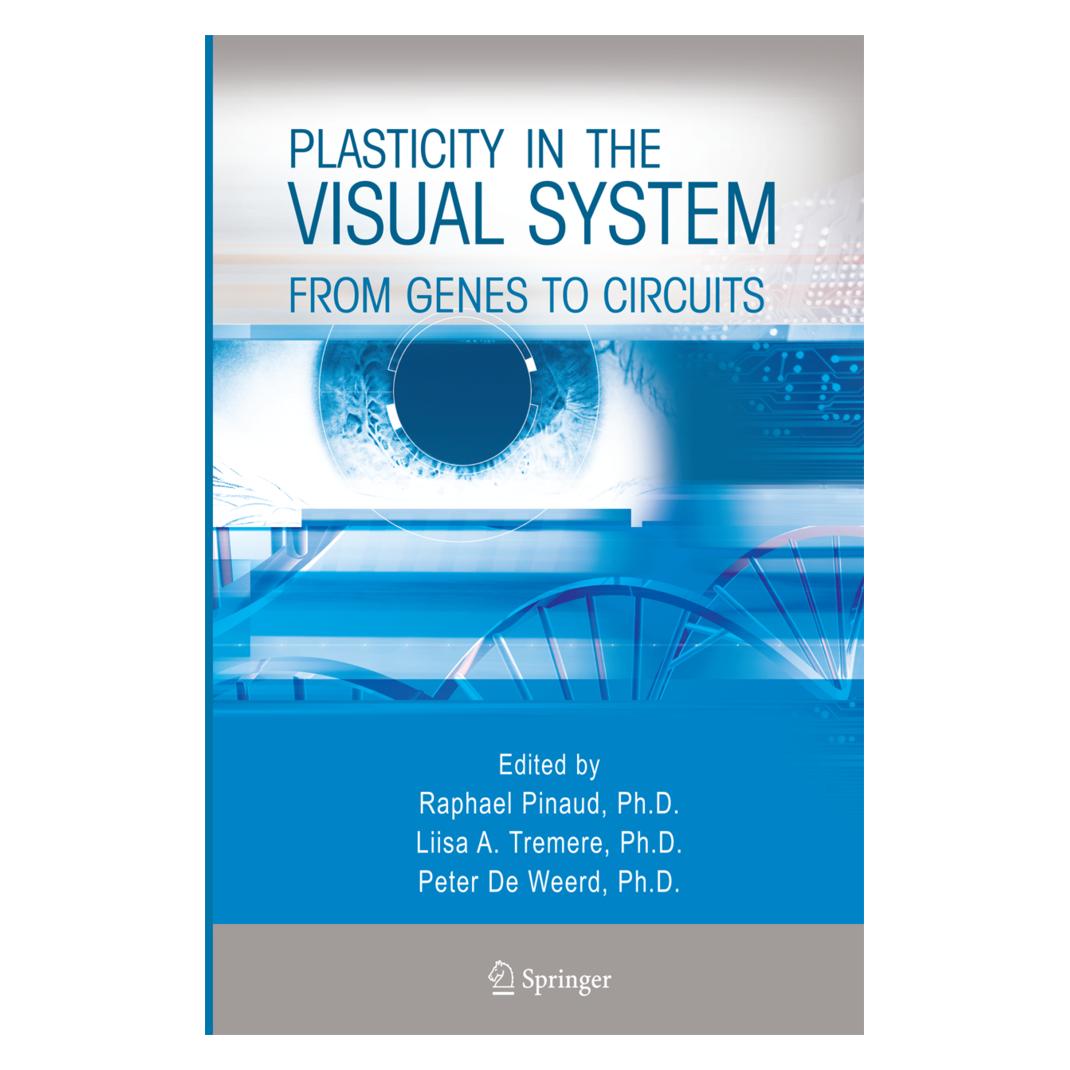 Springer Plasticity in the Visual System (Englisch, A Tremere, Liisa, Liisa A. Tremere, Peter de Weerd, Raphael Pinaud) (55579708)