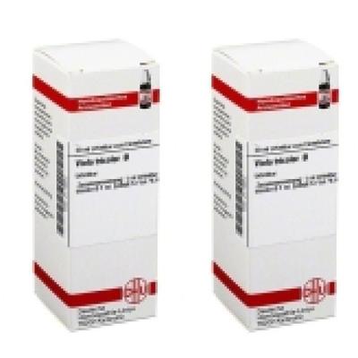 Viola Tricolor Urtinktur 2x 2x20 ml Dilution
