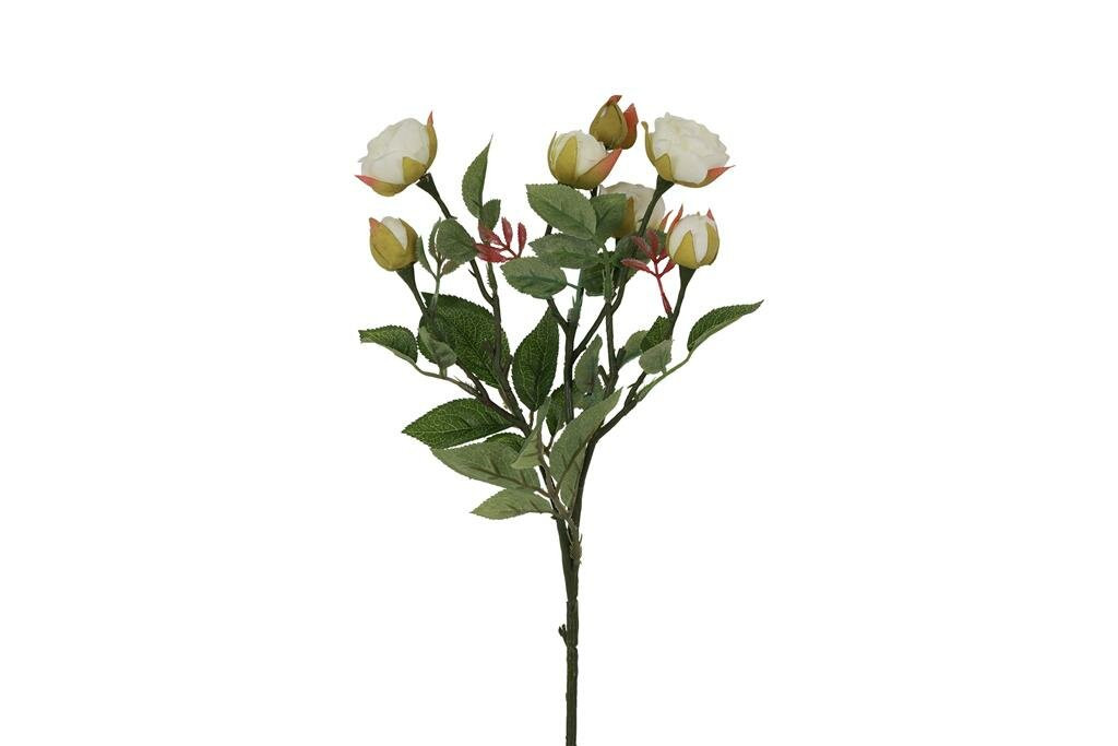 Countryfield zijden roos Shakira wit 35 cm