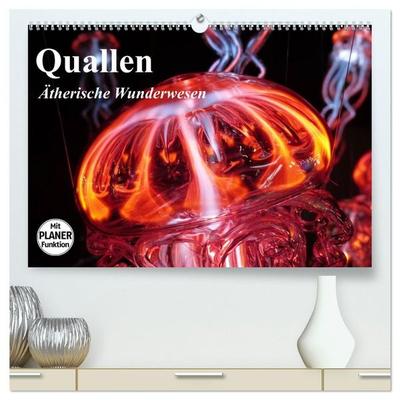 Quallen. Ätherische Wunderwesen (hochwertiger Premium Wandkalender 2027 DIN A2 quer), Kunstdruck in Hochglanz