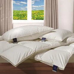 Billerbeck Daunendecke 306 Nena Mono medium, Füllung: 100% Gänsedaunen 140x220 cm