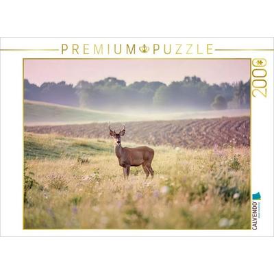 CALVENDO Puzzle Zwischen den Feldern: Heimat für Tiere. | 2000 Teile Lege-Größe 90x67cm Foto-Puzzle für glückliche Stunden, von , Calvendo Puzzle