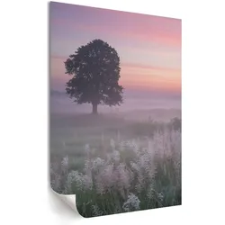 POSTER - 59x84 cm - Nevara - Ein Baum auf der Wiese